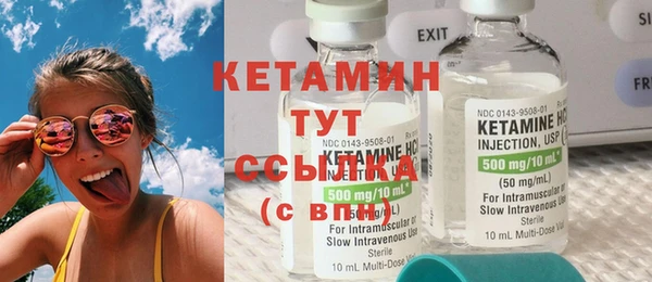 прущие грибы Осинники