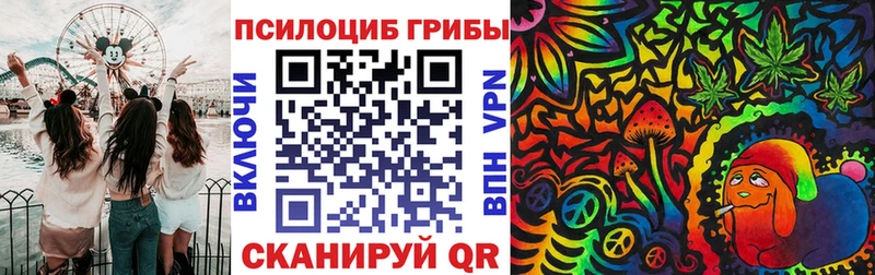 блэк спрут как войти  Байкальск  Галлюциногенные грибы MAGIC MUSHROOMS 